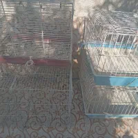 قفس خرگوش و پرنده|لوازم جانبی حیوانات|باغستان, |دیوار