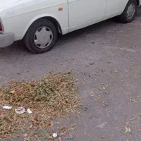 وانت پیکان 87دوگانه کارخانه|خودرو سواری و وانت|خلخال, |دیوار
