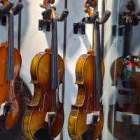 ویولن فردا ر