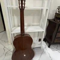 گیتار کلاسیک|گیتار، بیس، امپلیفایر|تهران, شهر زیبا|دیوار