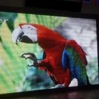 تابلوسازی،تلویزیون‌شهری،تابلوروان،رنتال،تابلو روان|فروشگاه و مغازه|تهران, ابوذر|دیوار