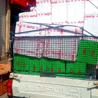 فروش مشعل های گازی و گازوییلی|مصالح و تجهیزات ساختمان|تهران, بهار|دیوار