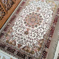 قالی تراکم ۲۵۵۰|فرش|گنبد کاووس, |دیوار