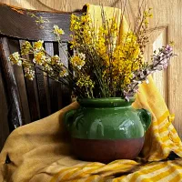 عکاسی حرفه ای