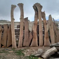 چوب و خرید و فروش تخته|عمدهفروشی|شیراز, قلات|دیوار