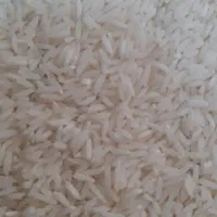 برنج هاشمی. صدری دم زرد نیمدانه و لاشه