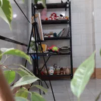 آموزشگاه نقاشی سَرو|خدمات آموزشی|ایذه, |دیوار