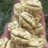 گردو با کیفیت تویسرکان گردو مال باغ خودمون هست|خوردنی و آشامیدنی|محمدشهر, کوی بهار|دیوار