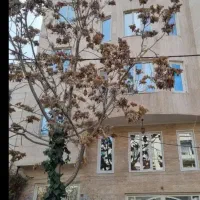 همخونه-می-خوام