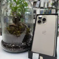 iphone13pro 1TB