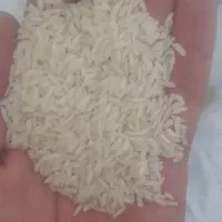 برنج علی کاظمی علا درجه یک