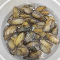 صدف زنده و بسیار زیبا ماهی|ماهی|کرمانشاه, |دیوار