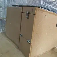 قفس و لانه گرینچیک و عروس هلندی