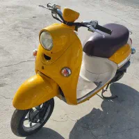 پاکشتی وینو کاربرات