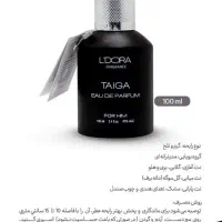 ادکلن تازه با کیفیت|آرایشی، بهداشتی، درمانی|شیراز, قلعه نو|دیوار