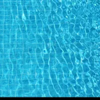 آموزش شنا مربی خصوصی بدنسازی وفیتنس