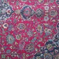 فروش فرش کاشمر دستباف فروش فوری|فرش|اردبیل, |دیوار