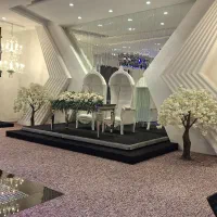 مداح بانو، همراه با مولودی خوانی با سبک جدید|خدمات پذیرایی، مراسم|تهران, مهرآباد|دیوار