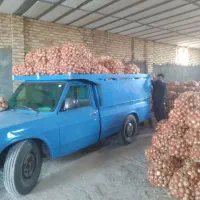 وانت نیسان مدل ۷۱