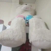 شاسخین یک متر