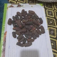 اهواز کارون