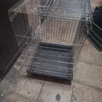 قفس بزرگ طوطی