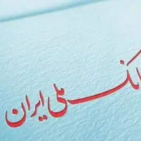 انجام دادن ضمانت برای تمامی وام ها