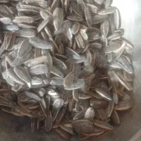 نشاط با تخم افتابپرمغز