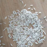برنج هاشمی درجه‌یک گیلان مستقیم  از تولید کننده|خوردنی و آشامیدنی|اصفهان, کنگاز|دیوار