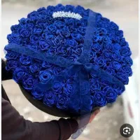 گل ربانی آوا