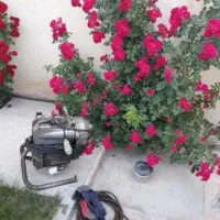 فنرزنی/لوله بازکنی ژاندارمری گیشا صادقیه مرزداران|خدمات پیشه و مهارت|تهران, مرزداران|دیوار