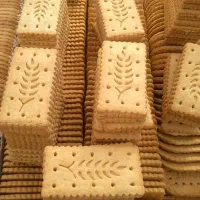 تولیدی بیسکویت پخش بیسکوییت|خوردنی و آشامیدنی|پاکدشت, پاکدشت (مامازند)|دیوار