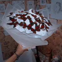 دسته گل پروانه|گل مصنوعی|خرم‌آباد, |دیوار