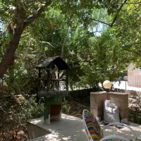 اجاره باغ ویلا|اجارهٔ کوتاه‌مدت ویلا و باغ|تهران, صادقیه|دیوار