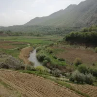گشت و گذار و راهنمایی استادان خ