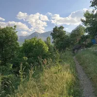 خانه اجاره ای دربست