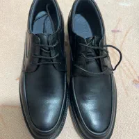 کفش مردانه نو