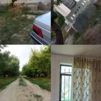 2-قطعه-باغ-بر-اتوبان-به-فروش-میرسد