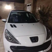 ۲۰۷ پانا (ستثنائی)