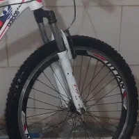 دوچرخه ۲۶ تنه بالا تاتان|دوچرخه، اسکیت، اسکوتر|الشتر, |دیوار