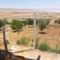 فردشفوریخانهباغیدرشهرسقزنزدیکجادهصاحبسقز|فروش خانه و ویلا|زیویه, |دیوار