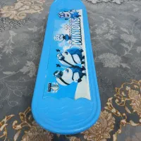 اسکیت برد اصل