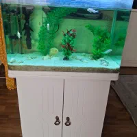 آکواریوم با کمد و همه تجهیزات|ماهی|شاهینشهر, گرگاب|دیوار