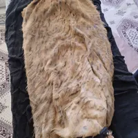 یک عدد هیزه گوسفندی|ظروف نگهدارنده، پلاستیکی، یک‌بارمصرف|خرم‌آباد, |دیوار