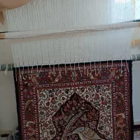 فرش دستبافت|فرش|ساروق, |دیوار