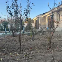 فرصت خریدی به قیمت/500متر باغ ویلا/آقای ویلا|فروش خانه و ویلا|محمدشهر, محمدشهر|دیوار