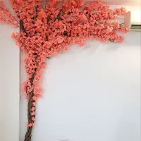 درختچه تخفیفی