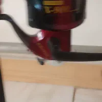 لنسر ماهیگیری