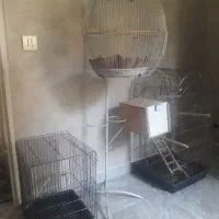 سه عدد قفس طوطی سانان کاملا سالم و تمیز