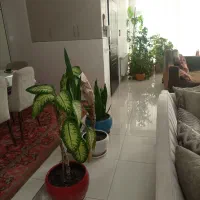 نظافت،خدمات،باغبانی